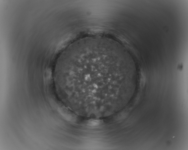 X0000113280711200909211039