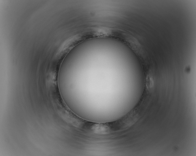 X0000113280714200909211039