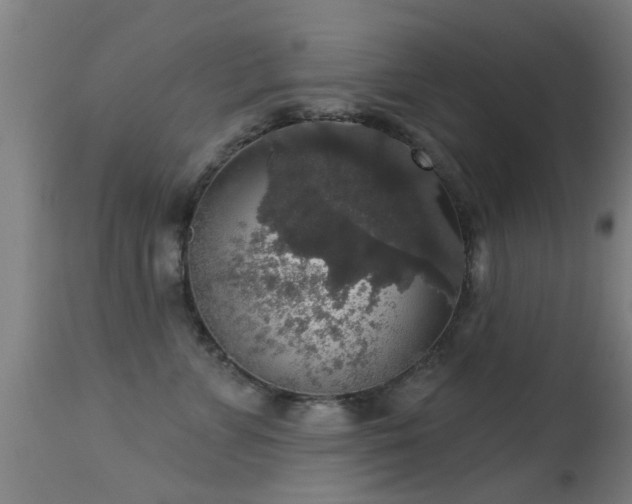 X0000113280715200909211039