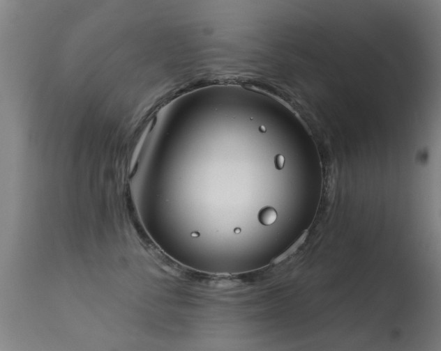 X0000113280716200909211039