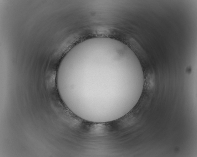 X0000113280717200909211039