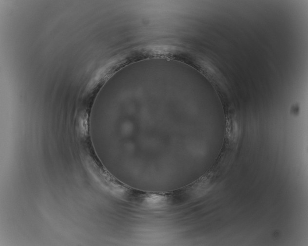 X0000113280718200909211039