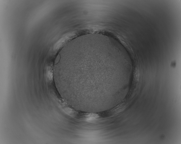 X0000113280719200909211039