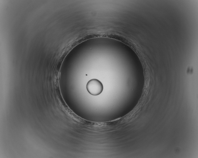 X0000113280720200909211039