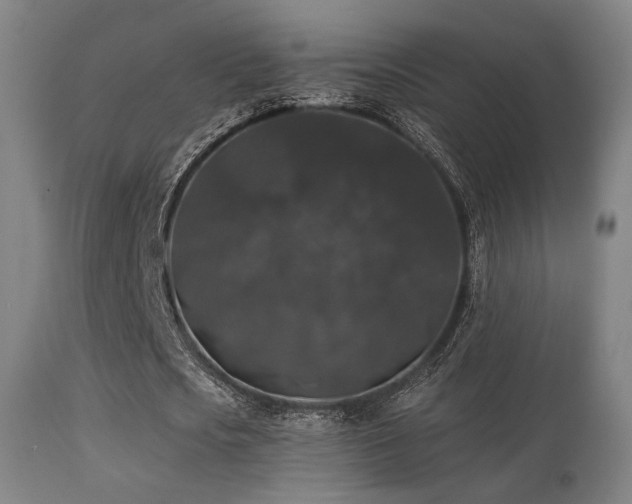 X0000113280721200909211039