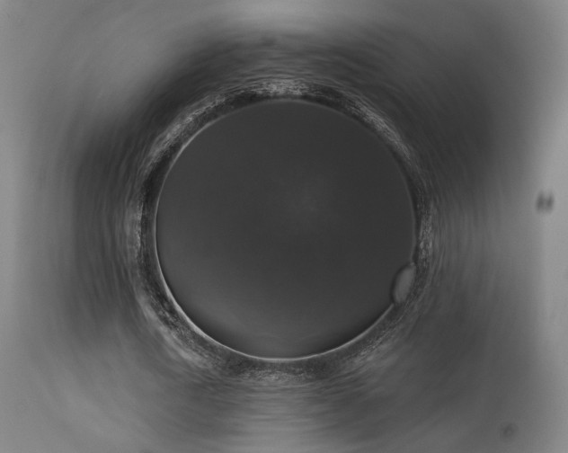 X0000113280722200909211039