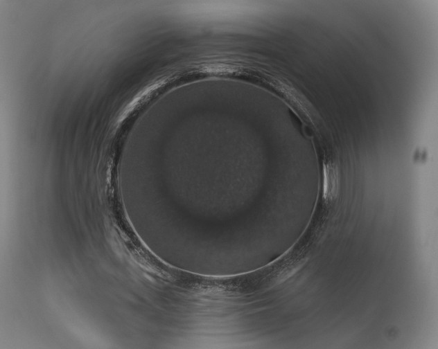 X0000113280723200909211039