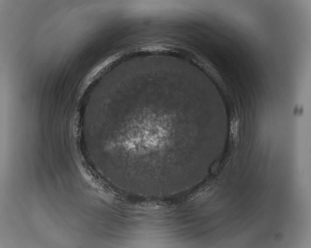 X0000113280724200909211039