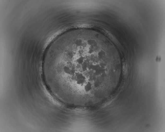 X0000113280725200909211039