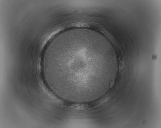 X0000113280727200909211039