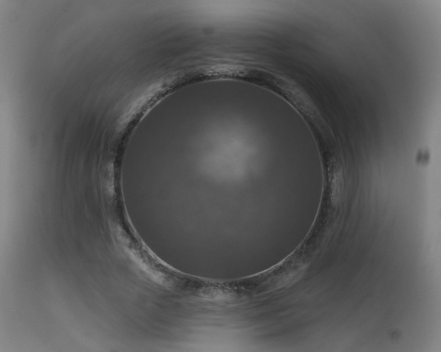 X0000113280729200909211039