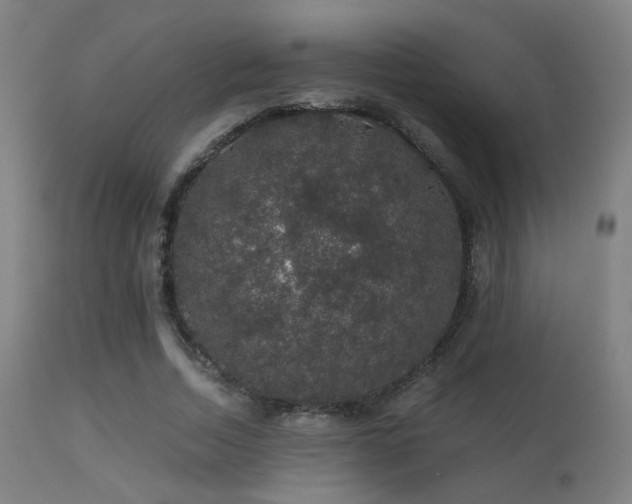 X0000113280730200909211039