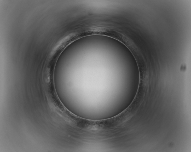 X0000113280731200909211039