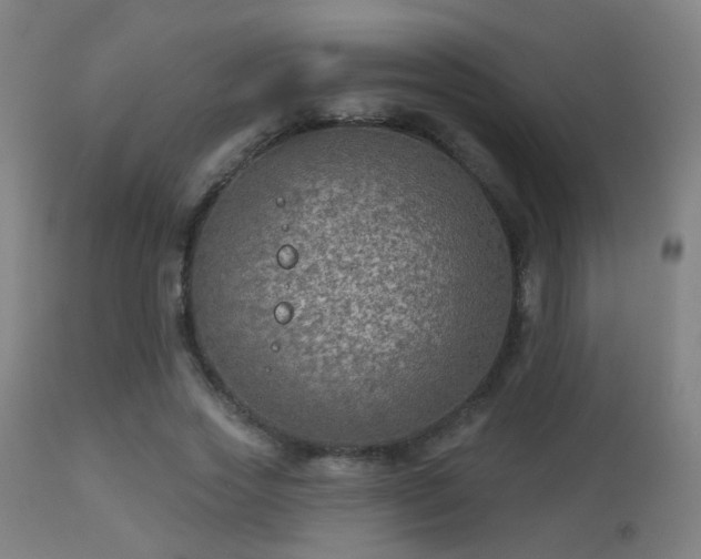 X0000113280733200909211039