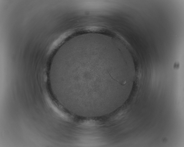 X0000113280734200909211039