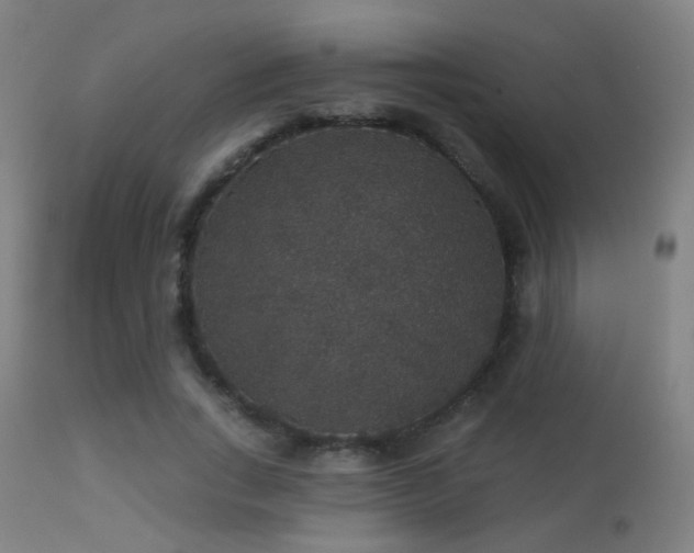 X0000113280735200909211039