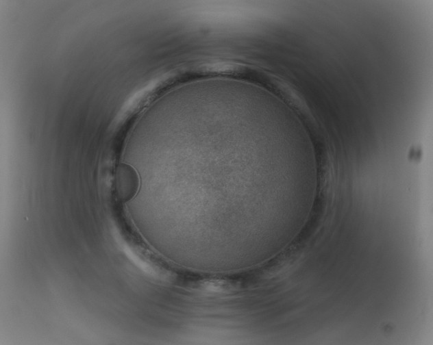 X0000113280736200909211039