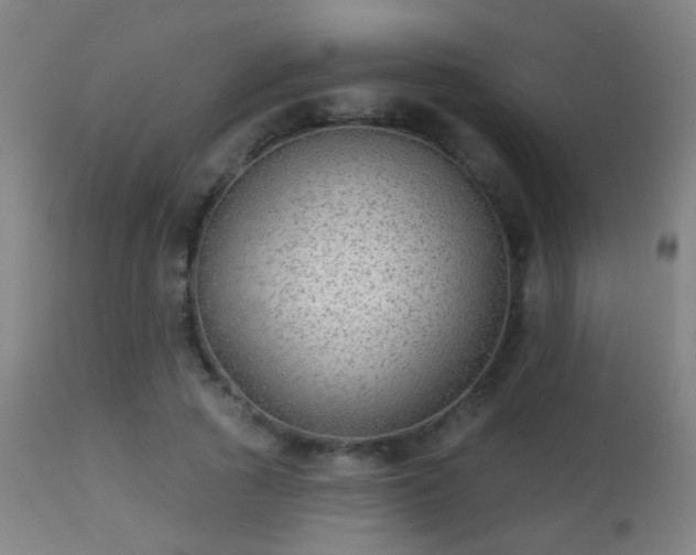 X0000113280737200909211039