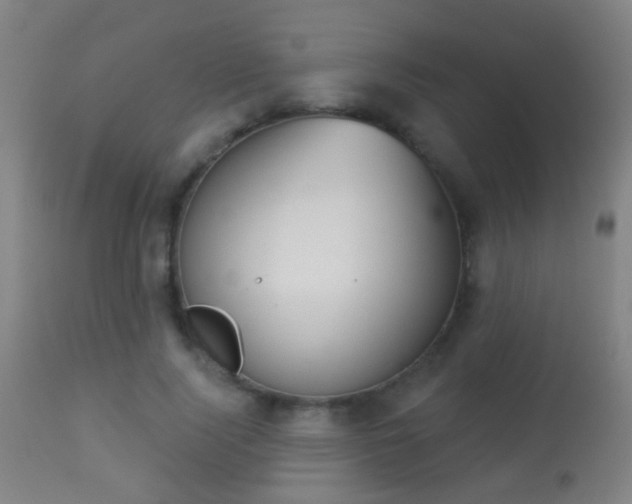 X0000113280740200909211039