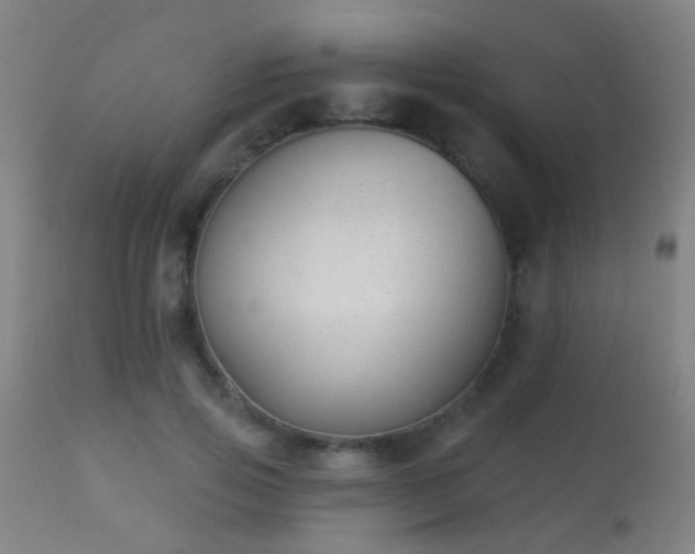 X0000113280741200909211039