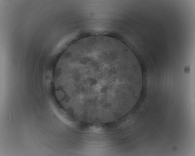 X0000113280742200909211039