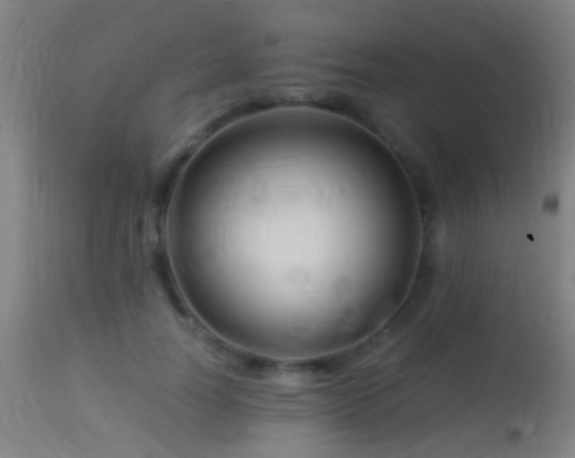 X0000113280746200909211039