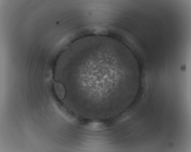 X0000113280748200909211039