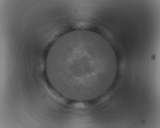 X0000113280751200909211039