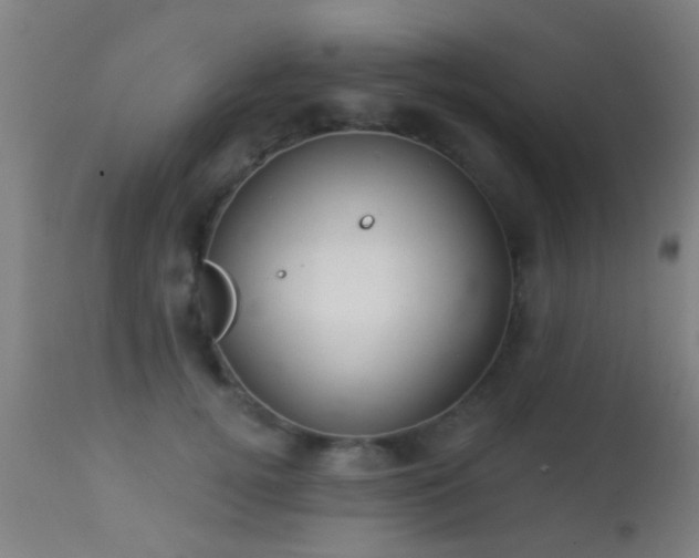 X0000113280752200909211039