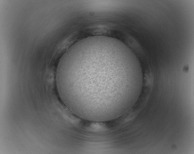 X0000113280753200909211039