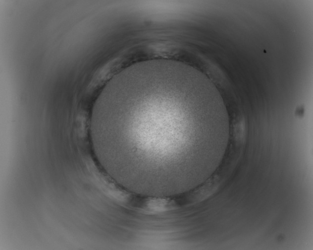 X0000113280757200909211039