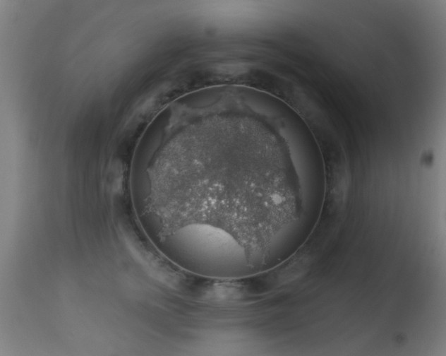 X0000113280758200909211039