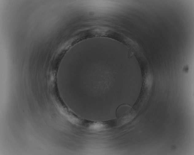 X0000113280759200909211039