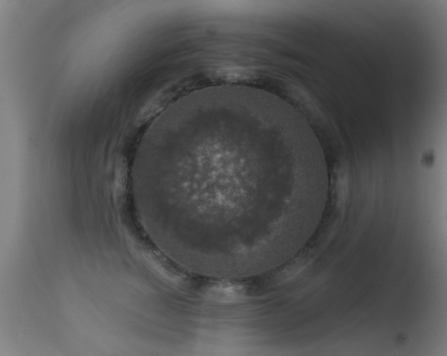 X0000113280760200909211039