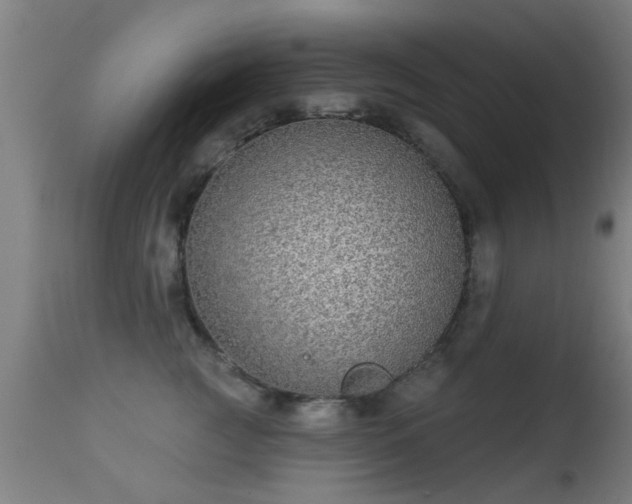 X0000113280761200909211039