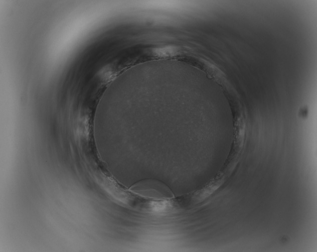 X0000113280762200909211039