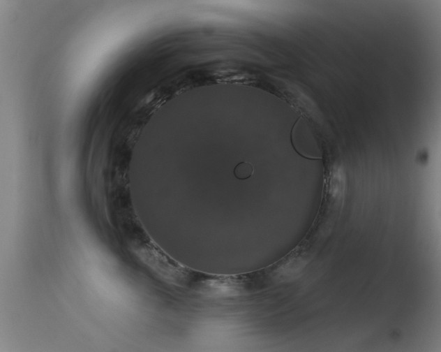 X0000113280763200909211039