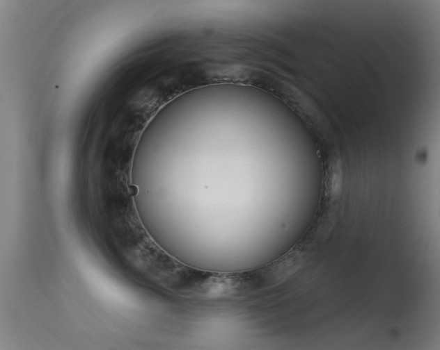 X0000113280764200909211039