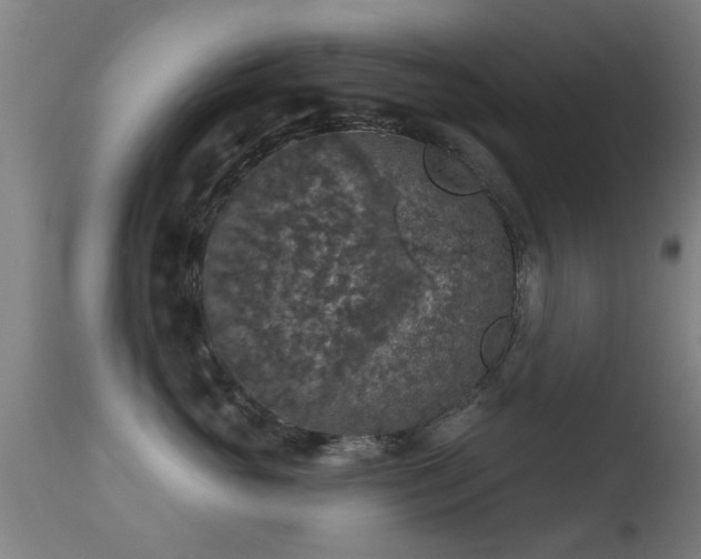 X0000113280765200909211039