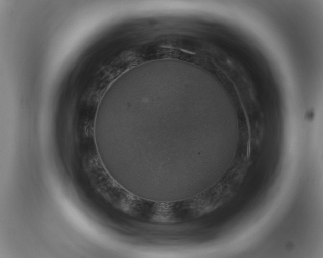 X0000113280766200909211039