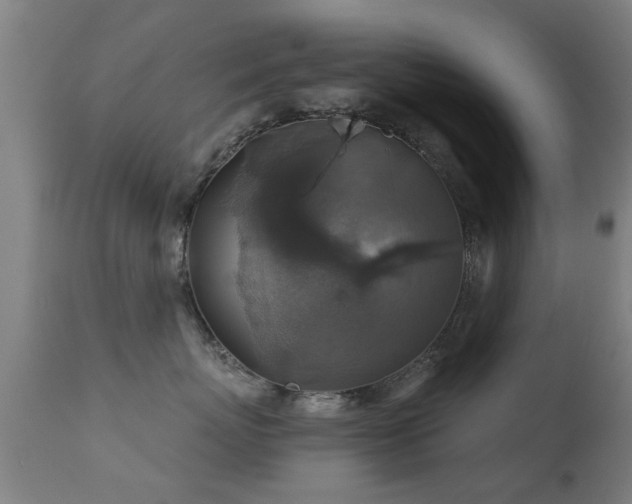 X0000113280767200909211039