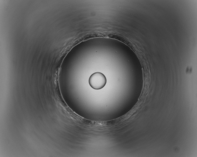 X0000113280768200909211039