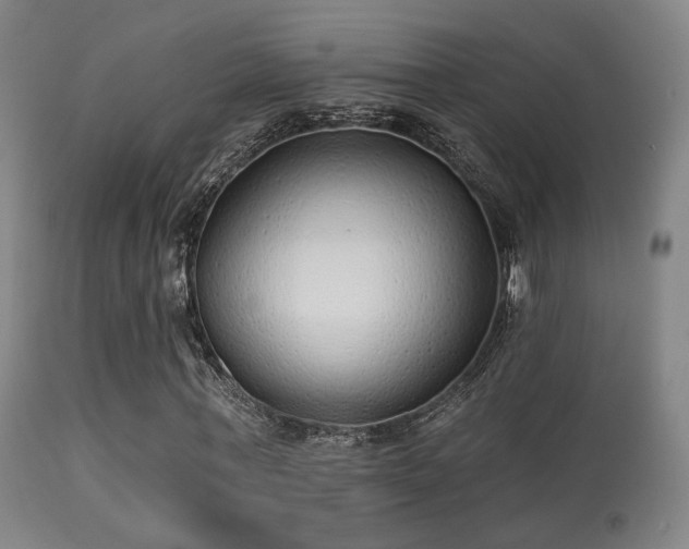 X0000113280771200909211038