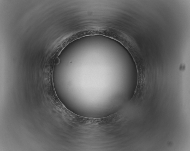 X0000113280773200909211038