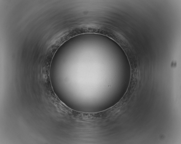 X0000113280774200909211038