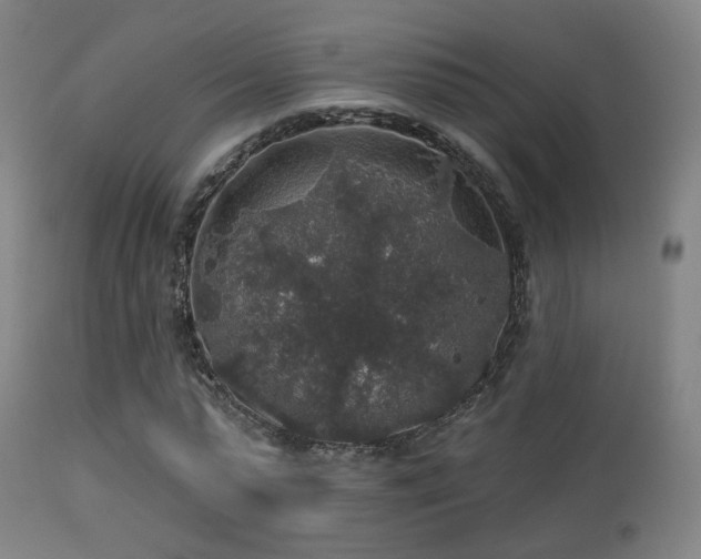 X0000113280775200909211038