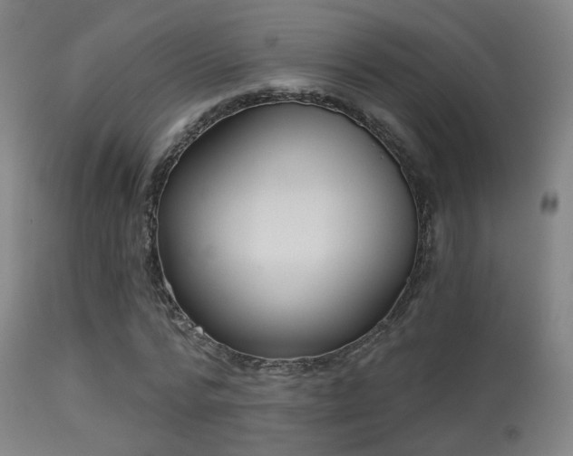 X0000113280776200909211038