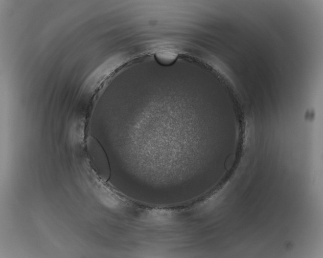 X0000113280777200909211038