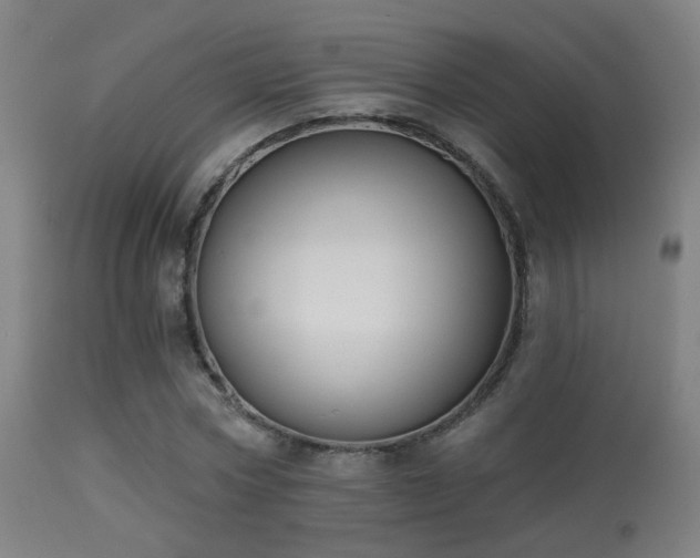 X0000113280778200909211038