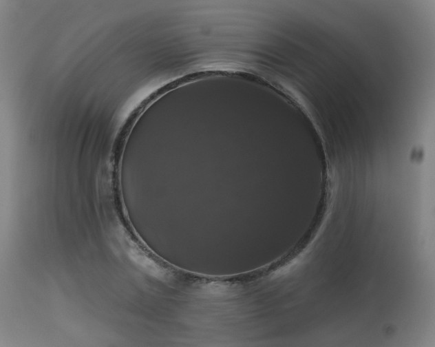 X0000113280779200909211038